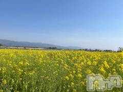 新潟デリヘル人妻不倫処　桃屋　新潟店(ヒトヅマフリンドコロモモヤ) みお・新人奥様(37)の2月11日写メブログ「私の好きな…」
