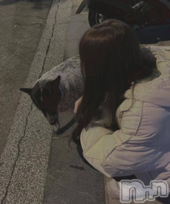 新潟ソープ新潟バニーコレクション(ニイガタバニーコレクション) ナギ(20)の12月7日写メブログ「珍しいワンちゃんいた」