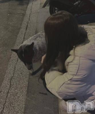 新潟ソープ 新潟バニーコレクション(ニイガタバニーコレクション) ナギ(20)の12月7日写メブログ「珍しいワンちゃんいた」