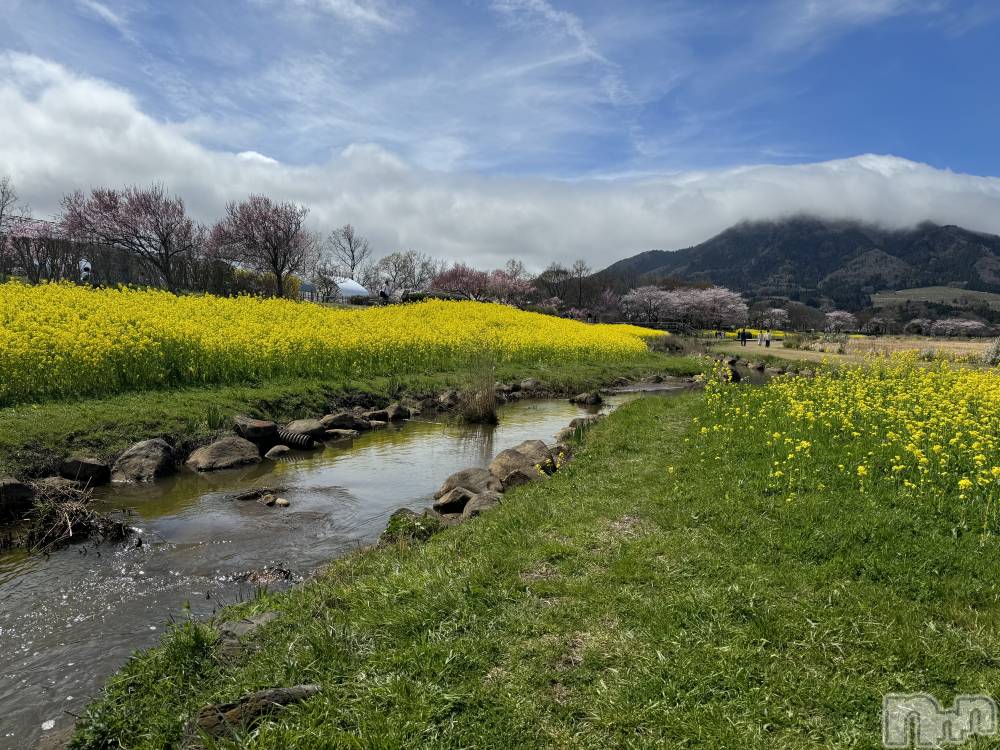 ����������ʥå��������륺�С�SNACK Himawari(���ʥå��ҥޥ��) �ߤ��4��15���̥�֥����֤��äȤ����֤ˡ�🌸🌿��