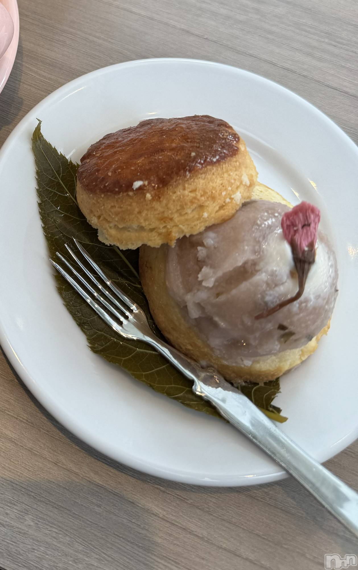 ����������ʥå��������륺�С�SNACK Himawari(���ʥå��ҥޥ��) ��2026ǯ4��6���̥�֥����֤����餢�󥹥�����🌸��