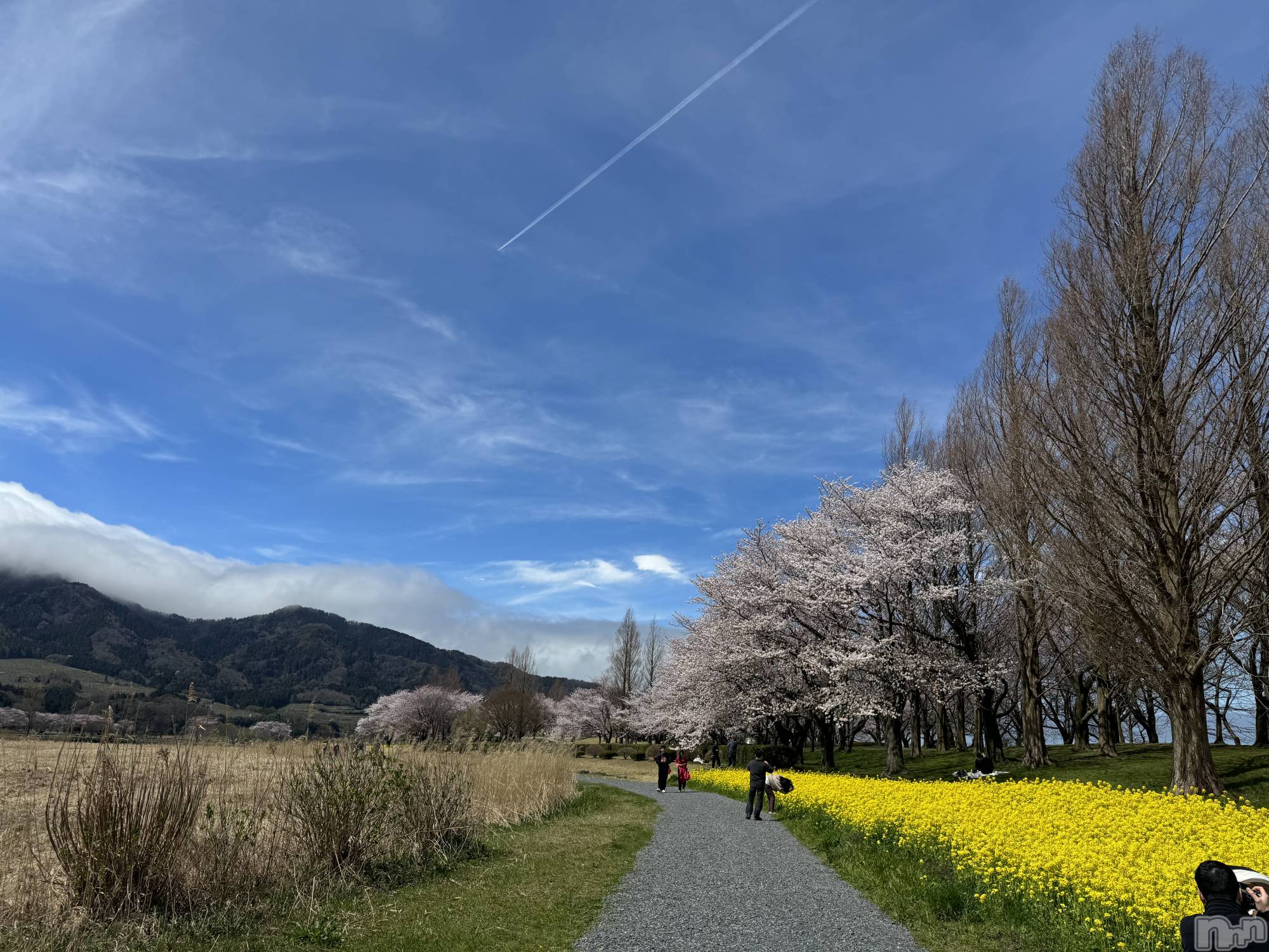 ����������ʥå��������륺�С�SNACK Himawari(���ʥå��ҥޥ��) ��2026ǯ4��10���̥�֥�����🌸🌼��