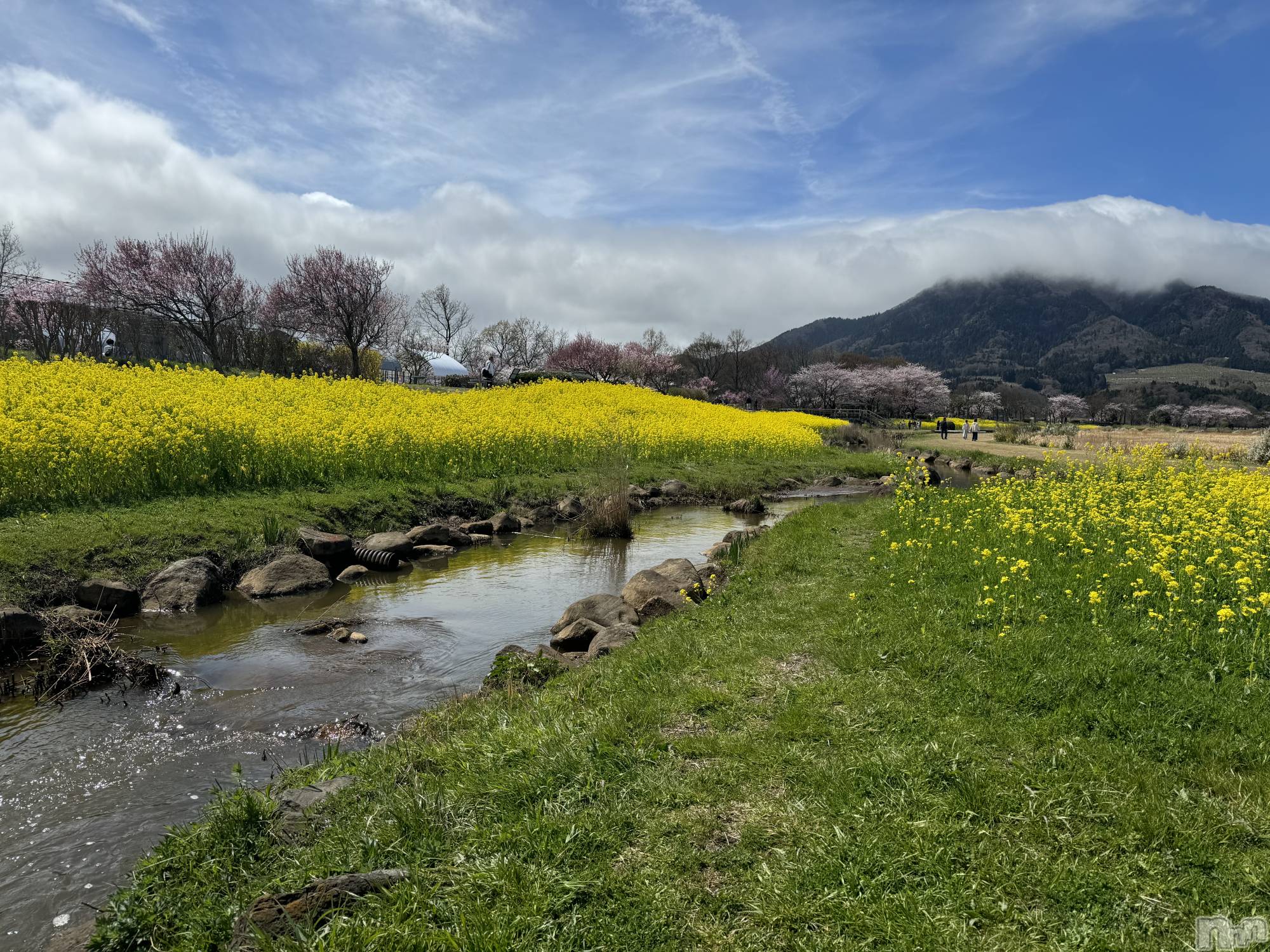 ����������ʥå��������륺�С�SNACK Himawari(���ʥå��ҥޥ��) ��2026ǯ4��15���̥�֥����֤��äȤ����֤ˡ�🌸🌿��