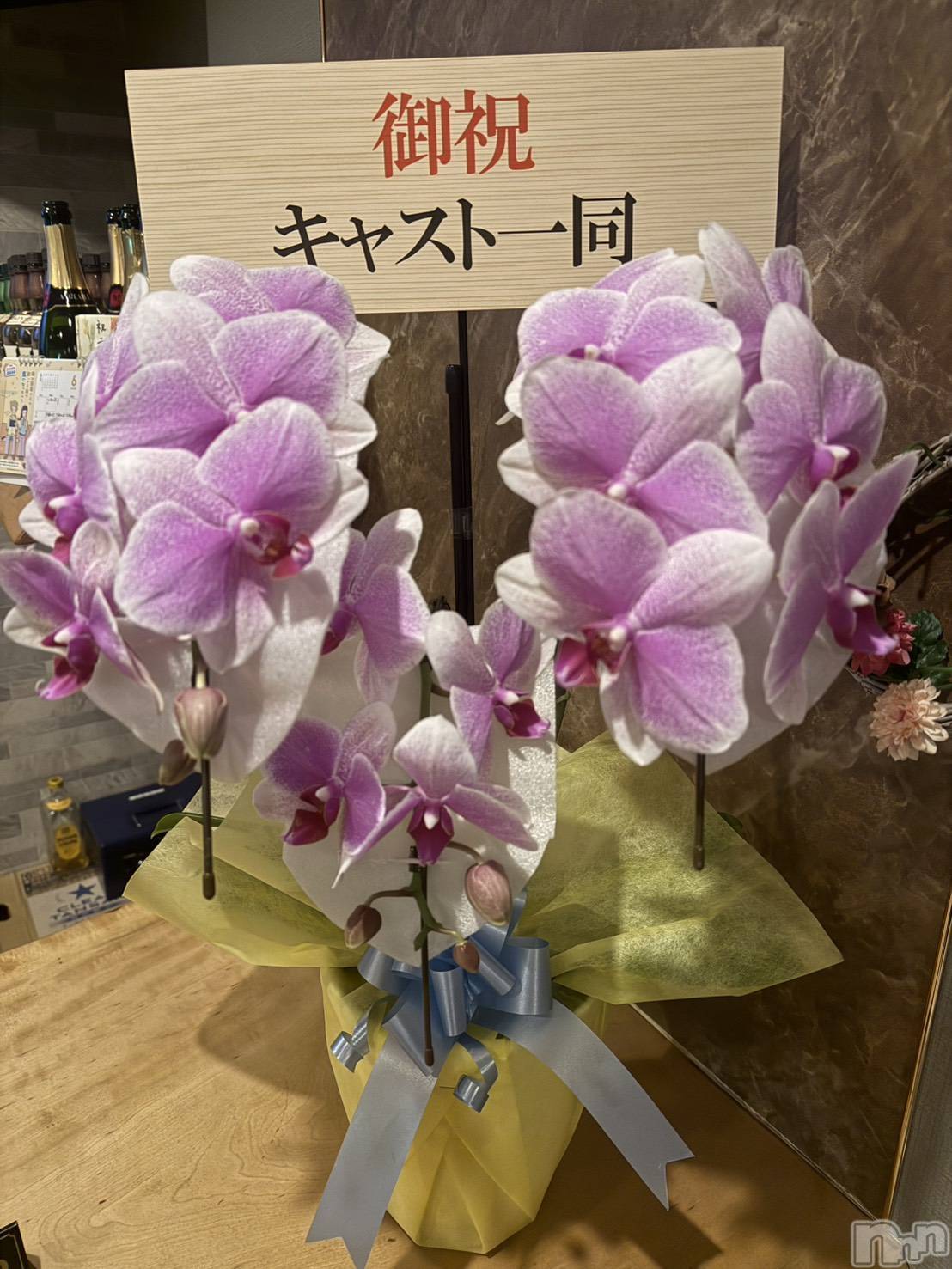 ����������ʥå��������륺�С�SNACK Himawari(���ʥå��ҥޥ��) ��2026ǯ6��12���̥�֥�����- ̗̀ 🎂 ̖́-�ޥޤ�������- ̗̀ 🎂 ̖́-��