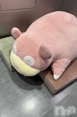 ����������ʥå��������륺�С�SNACK Himawari(���ʥå��ҥޥ��) �ߤ��3��19���̥�֥�����😣😵‍💫😵��