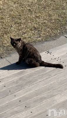 ����������ʥå��������륺�С�SNACK Himawari(���ʥå��ҥޥ��) �ߤ��3��25���̥�֥�����ฅ^•��•^ฅ��