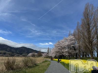 ����������ʥå��������륺�С�SNACK Himawari(���ʥå��ҥޥ��) �ߤ��4��10���̥�֥�����🌸🌼��