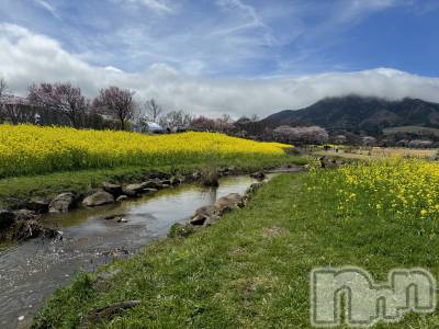 ����������ʥå��������륺�С�SNACK Himawari(���ʥå��ҥޥ��) �ߤ��4��15���̥�֥����֤��äȤ����֤ˡ�🌸🌿��