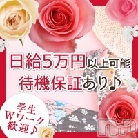 Tiramisu フォトギャラリー画像1
