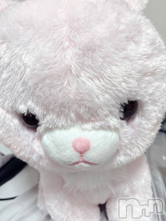 新潟デリヘルアミューズメントデリバリーヘルス  ガロパ(アミューズメントデリバリーヘルスガロパ)あい(19)の2026年6月19日写メブログ「🧸‪‪❤︎‬」