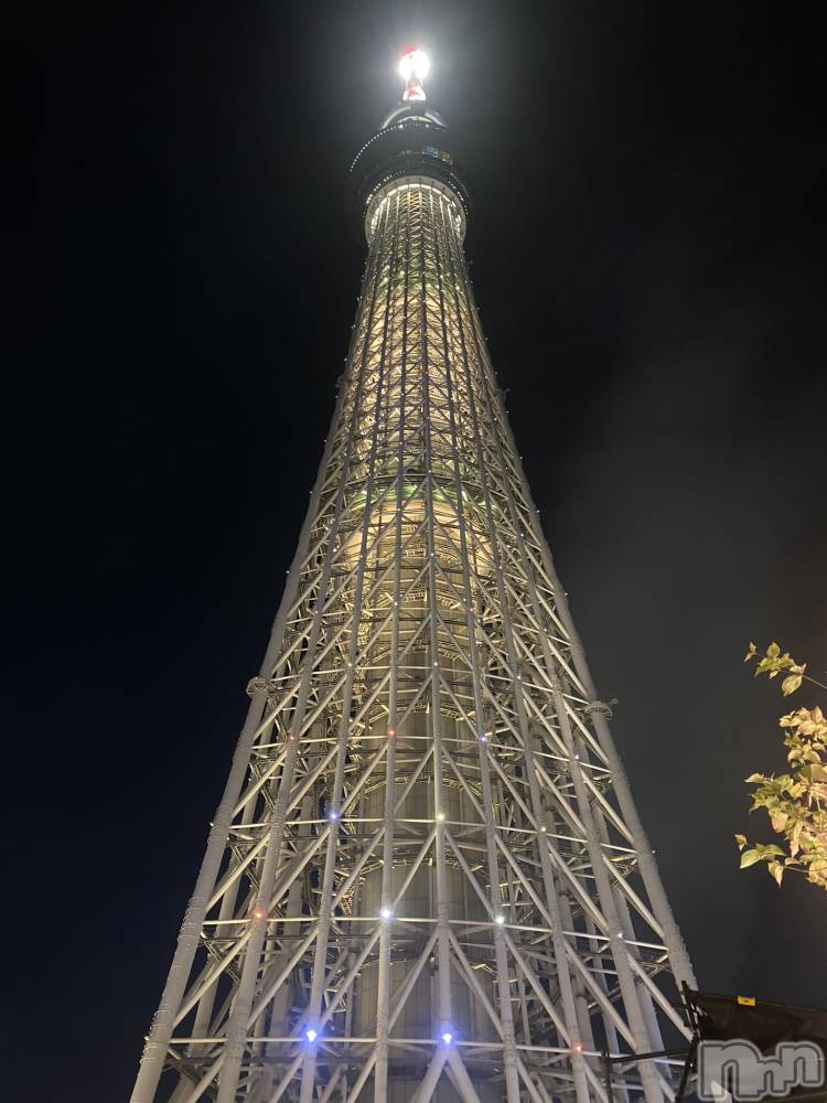 ��Į����Х��顦�����Daphne(���ե�) �ߤ��Ȥ�12��16���̥�֥�����Tokyo❣️��