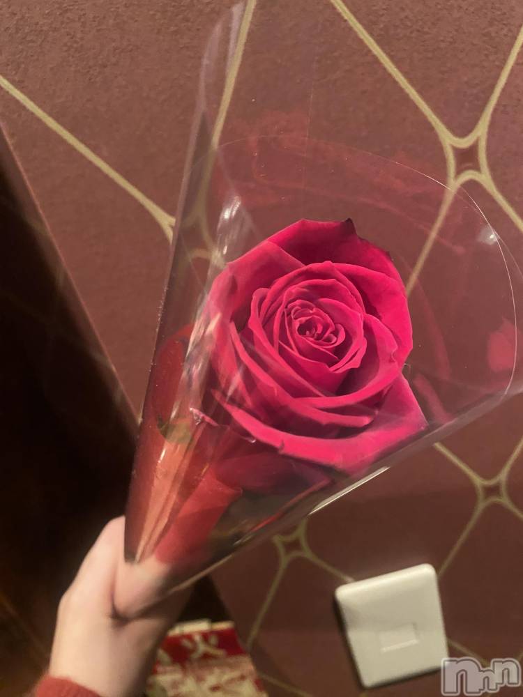 ��Į����Х��顦�����Daphne(���ե�) �ߤ��Ȥ�2��25���̥�֥����֤��֡�🌹✨��