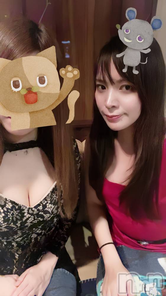 ��Į����Х��顦�����Daphne(���ե�) �ߤ��Ȥ�4��10���̥�֥����֥�����ǭ����🐱��