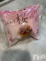 ��Į����Х��顦�����Daphne(���ե�) �ߤ��Ȥ�2��19���̥�֥����ֺ���🌸‼️��