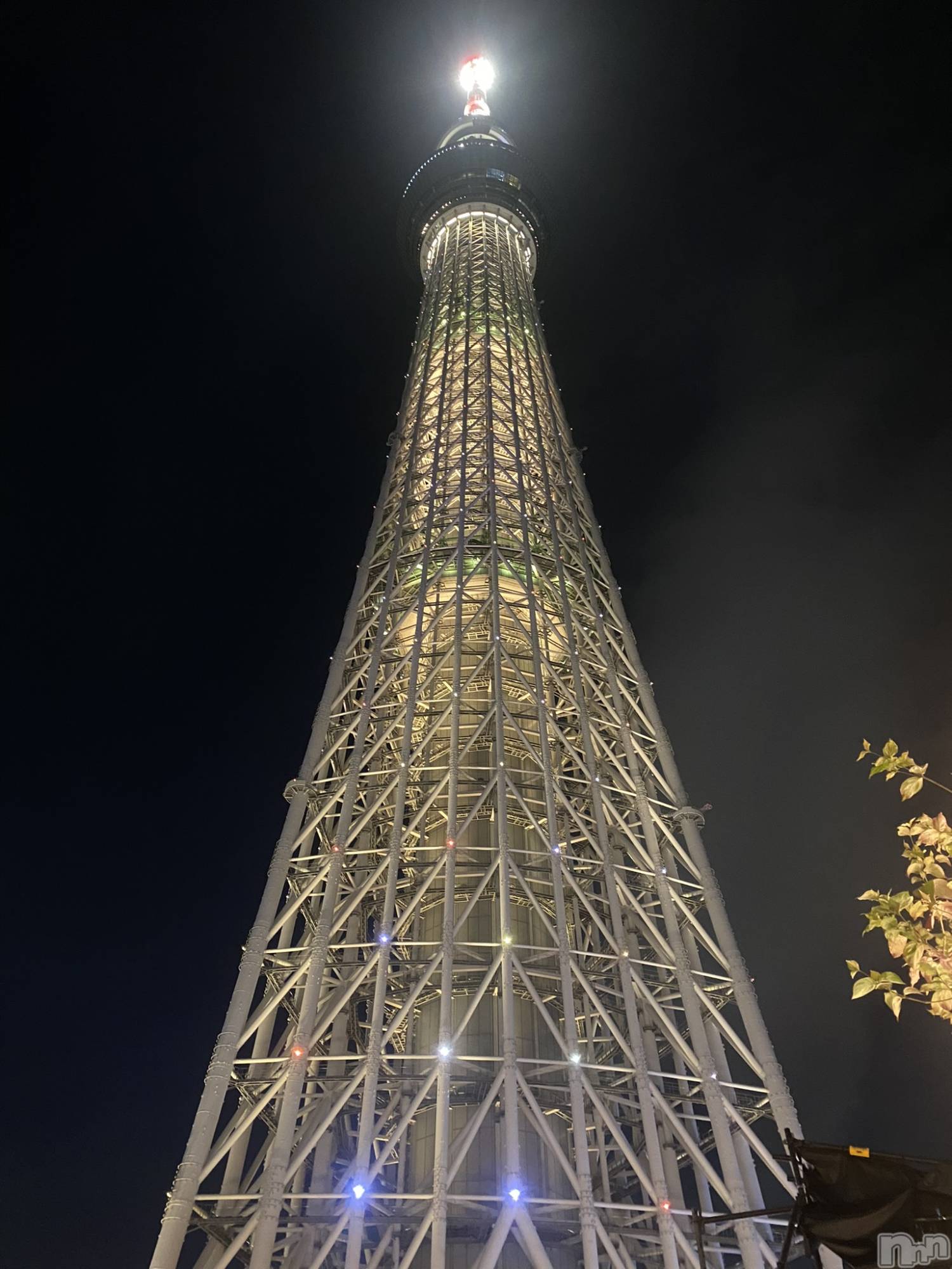 ��Į����Х��顦�����Daphne(���ե�) ��2025ǯ12��16���̥�֥�����Tokyo❣️��