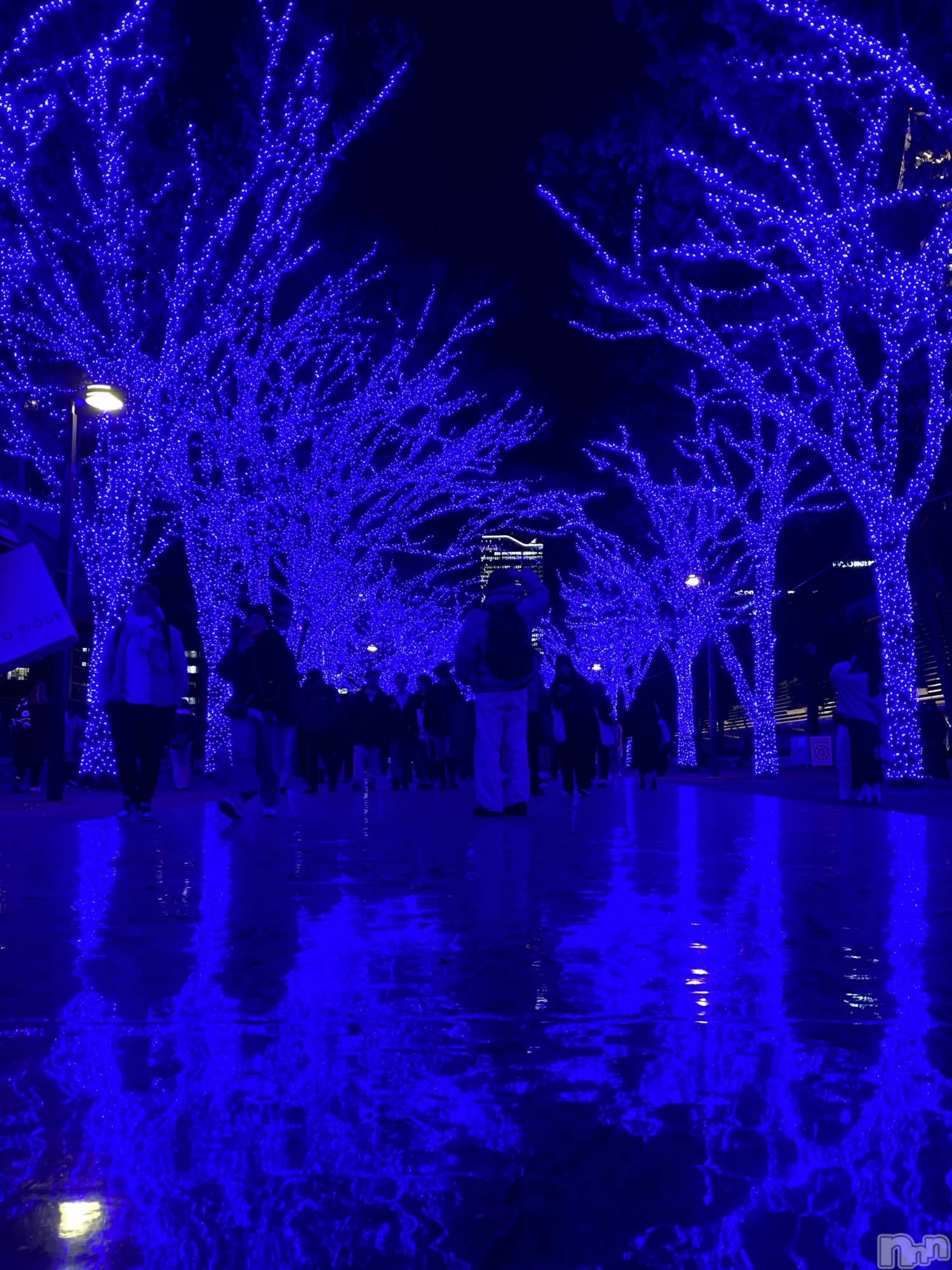 ��Į����Х��顦�����Daphne(���ե�) ��2025ǯ12��23���̥�֥����ֿ�ǯ���ϡġġ���