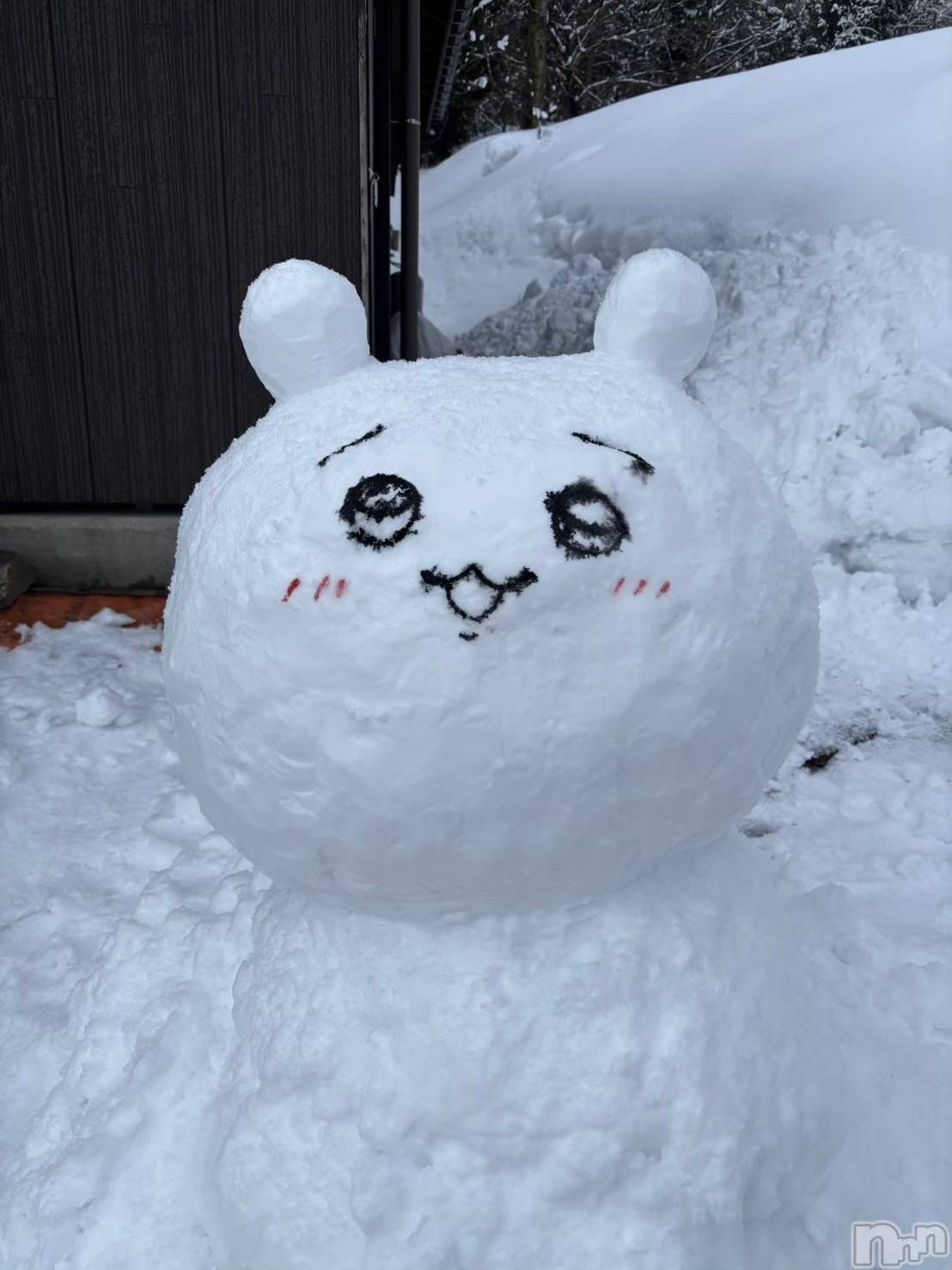 ��Į����Х��顦�����Daphne(���ե�) ��2026ǯ1��31���̥�֥�����1����☃️��