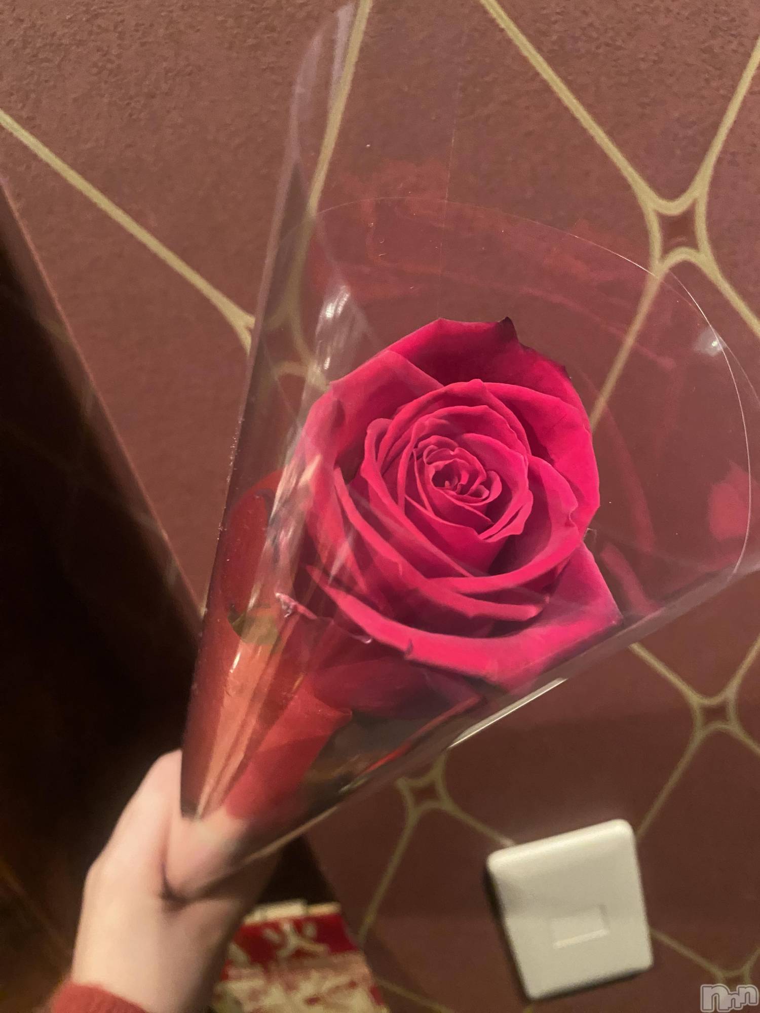 ��Į����Х��顦�����Daphne(���ե�) ��2026ǯ2��25���̥�֥����֤��֡�🌹✨��