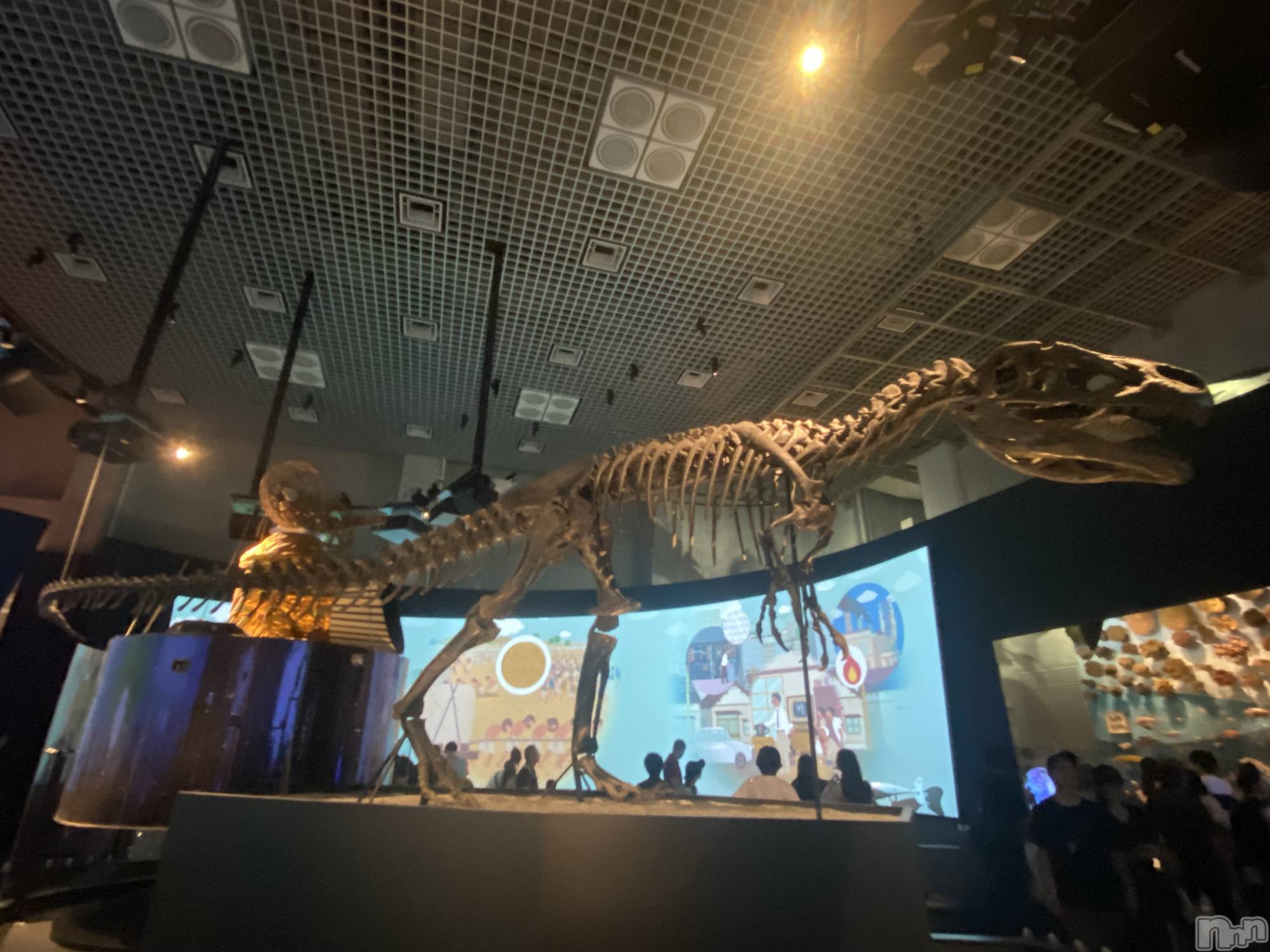 ��Į����Х��顦�����Daphne(���ե�) ��2026ǯ3��12���̥�֥�������ʪ��👩‍🎓��