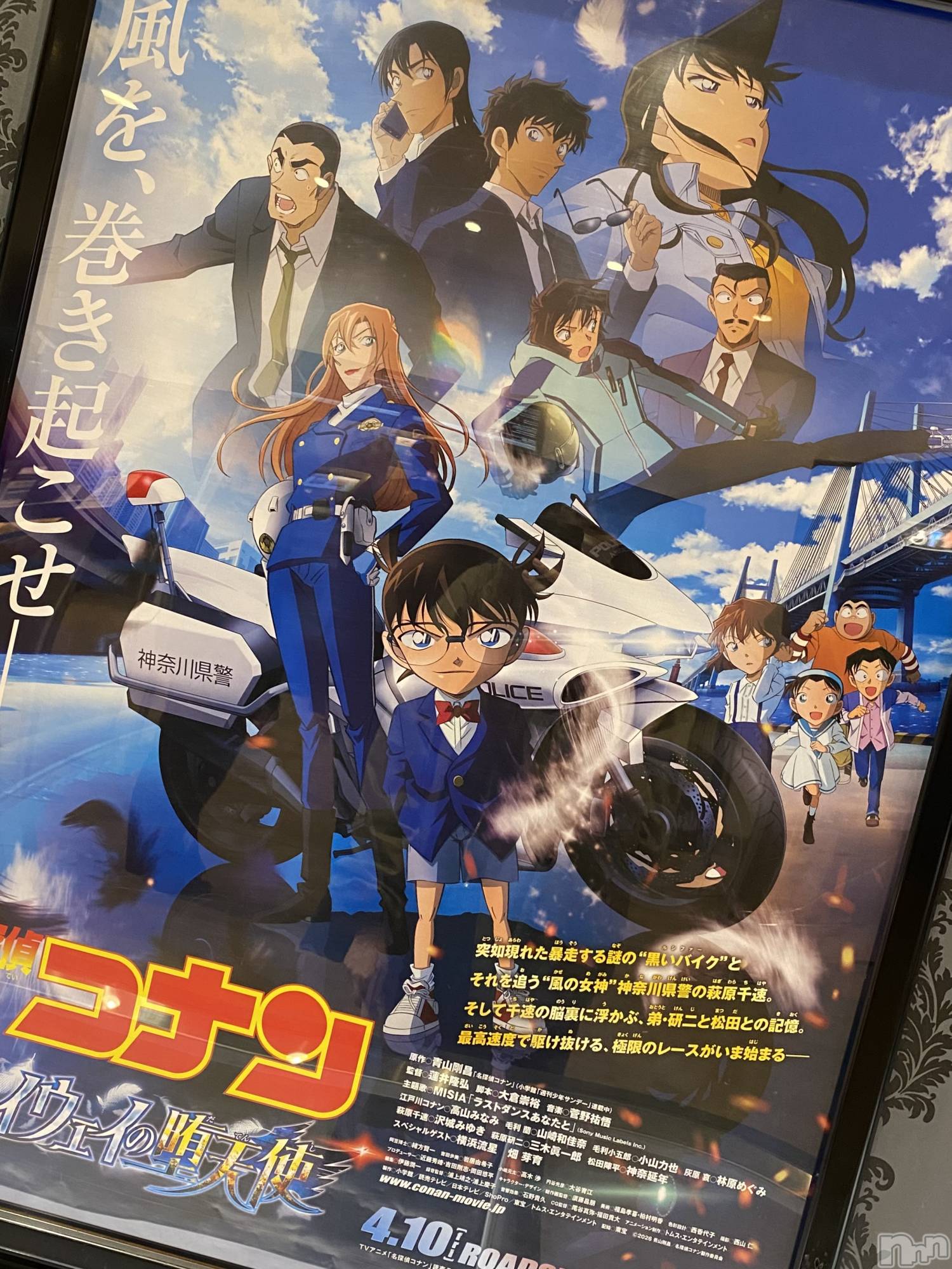 ��Į����Х��顦�����Daphne(���ե�) ��2026ǯ4��13���̥�֥����ֱǲ�🎥��