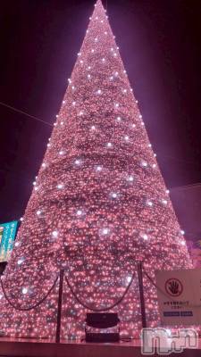 ��Į����Х��顦�����Daphne(���ե�) �ߤ��Ȥ�12��19���̥�֥�����enjoy💃��