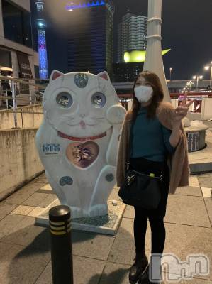 ��Į����Х��顦�����Daphne(���ե�) �ߤ��Ȥ�12��26���̥�֥����ֻŻ�Ǽ�ᡩ����