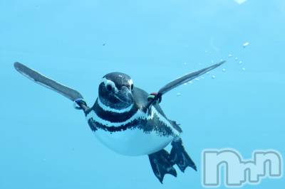 ��Į����Х��顦�����Daphne(���ե�) �ߤ��Ȥ�1��14���̥�֥���������❣️��