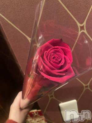 ��Į����Х��顦�����Daphne(���ե�) �ߤ��Ȥ�2��25���̥�֥����֤��֡�🌹✨��