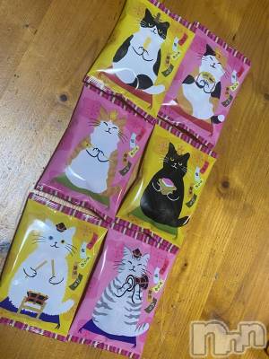 ��Į����Х��顦�����Daphne(���ե�) �ߤ��Ȥ�3��11���̥�֥����֤Ҥʺפ�✨��