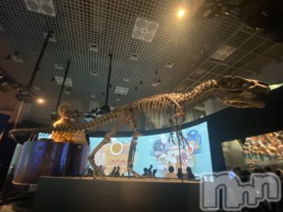 ��Į����Х��顦�����Daphne(���ե�) �ߤ��Ȥ�3��12���̥�֥�������ʪ��👩‍🎓��