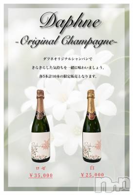 ��Į����Х��顦�����Daphne(���ե�) �ߤ��Ȥ�8��18���̥�֥����֥��ꥷ���🍾🥂��