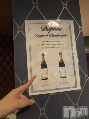 ��Į����Х��顦�����Daphne(���ե�) �ߤ��Ȥ�9��5���̥�֥����֤��ȡġ�🍾��