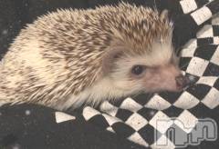 新潟デリヘルAbel-アベル-(アベル) あおい【体験】未経験Fカップ(25)の12月13日写メブログ「癒しの…😌」