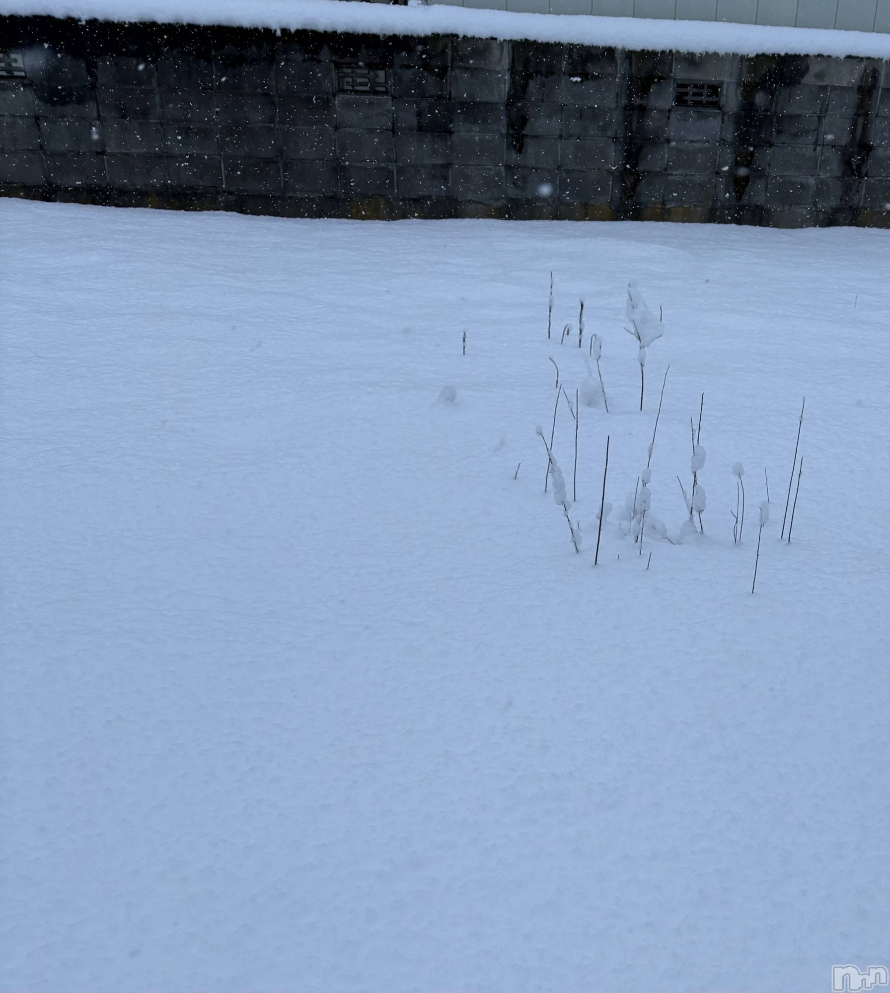 ��Į����Х��顦�����Lounge R Style(�饦�󥸥����륹������) ��2026ǯ1��24���̥�֥�����😷��