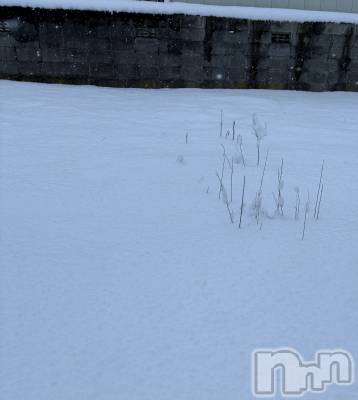 ��Į����Х��顦�����Lounge R Style(�饦�󥸥����륹������) ���(24)��1��24���̥�֥�����😷��