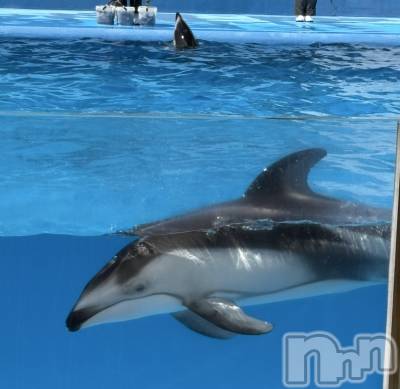 ��Į����Х��顦�����Lounge R Style(�饦�󥸥����륹������) ���(25)��5��2���̥�֥�����🐬💦��