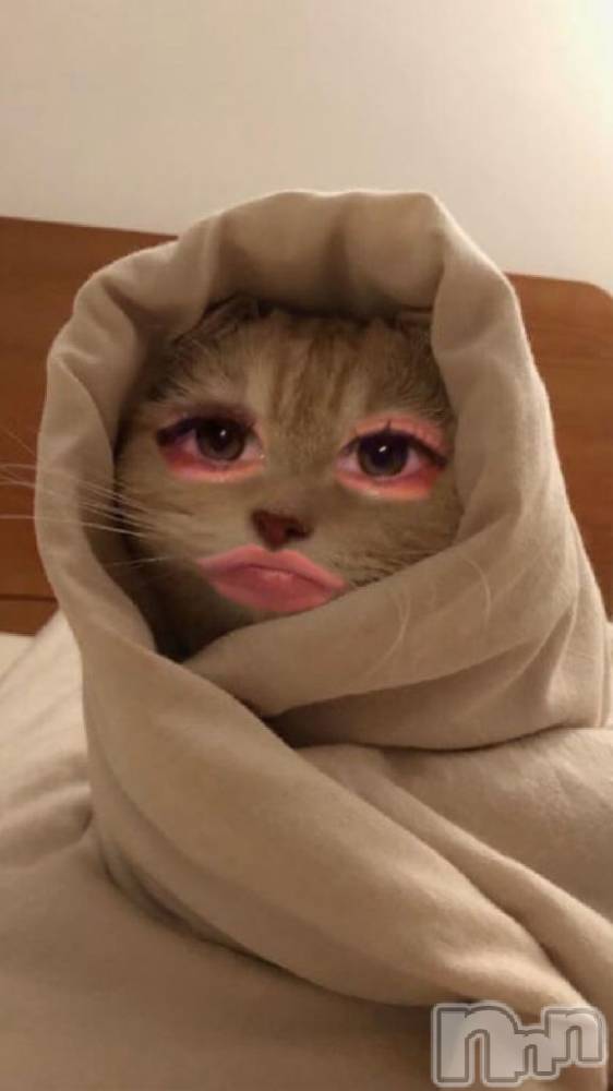 新潟ソープ新潟バニーコレクション(ニイガタバニーコレクション) リゼ(21)の2月21日写メブログ「しゅっ」