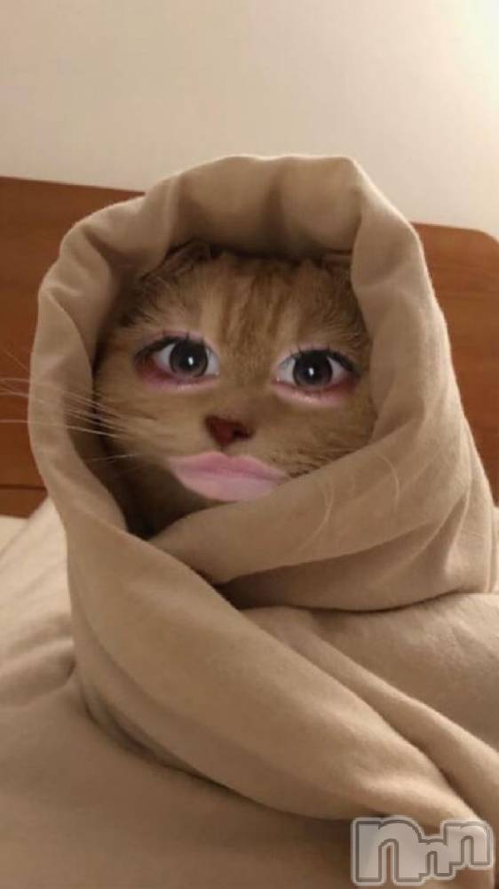 新潟ソープ新潟バニーコレクション(ニイガタバニーコレクション) リゼ(21)の3月18日写メブログ「🐱」