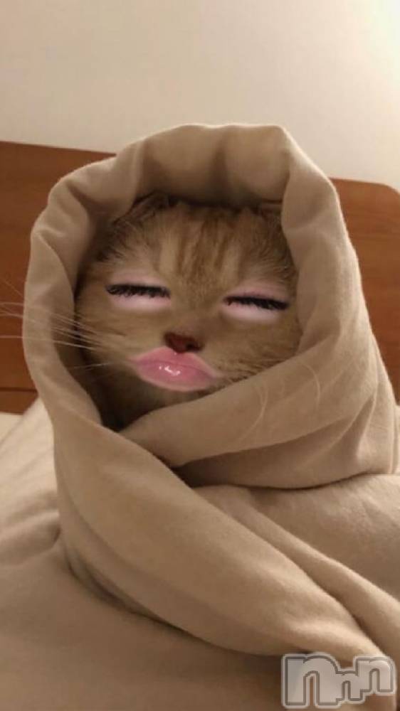 新潟ソープ新潟バニーコレクション(ニイガタバニーコレクション) リゼ(21)の3月30日写メブログ「この顔に𛰙᭜𖫴𖫰𖫱𖫳𖫲𖫲  𖫳𖫴𖫰𖫱꛰ ᭜𖫴𖫰𖫱𖫳𖫲  𖫲𖫳𖫴𖫰𖫱꛰....」