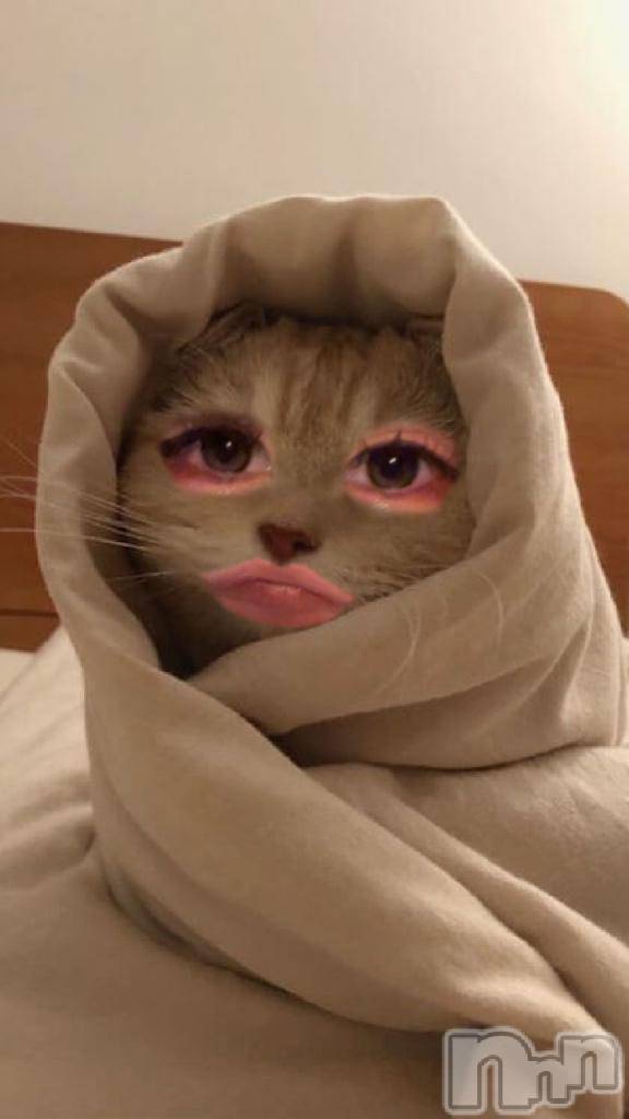 新潟ソープ新潟バニーコレクション(ニイガタバニーコレクション)リゼ(21)の2026年2月21日写メブログ「しゅっ」