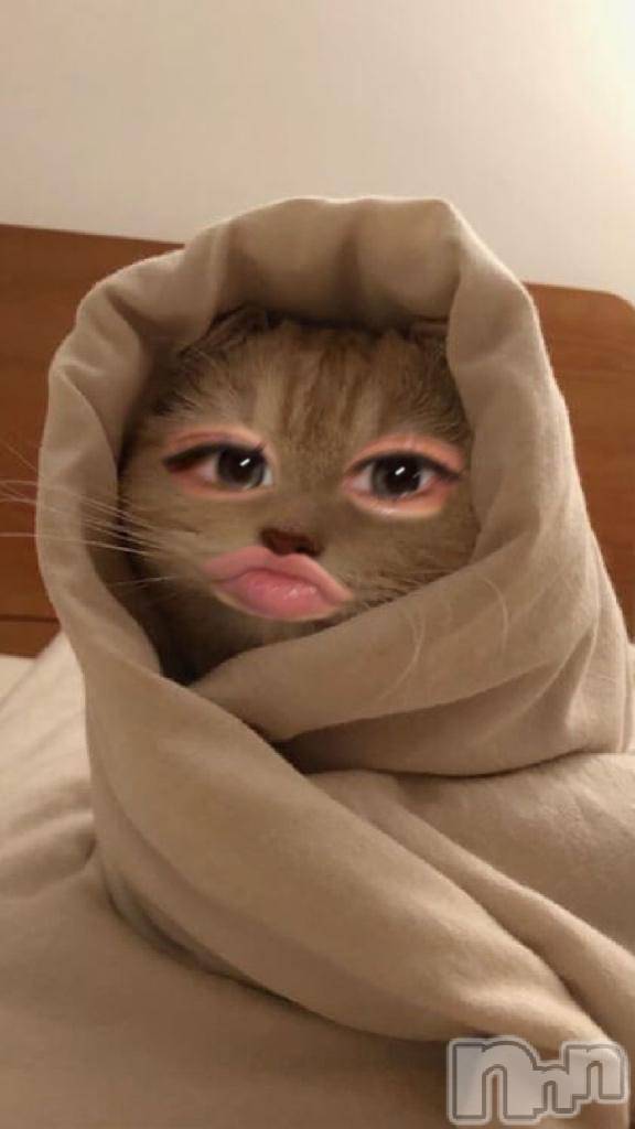 新潟ソープ新潟バニーコレクション(ニイガタバニーコレクション)リゼ(21)の2026年3月3日写メブログ「ありがとうございます✨️」