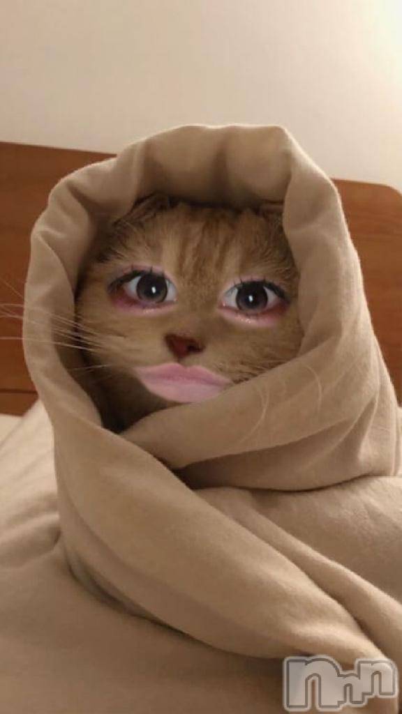 新潟ソープ新潟バニーコレクション(ニイガタバニーコレクション)リゼ(21)の2026年3月18日写メブログ「🐱」