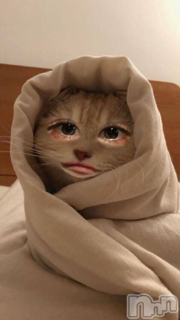 新潟ソープ新潟バニーコレクション(ニイガタバニーコレクション)リゼ(21)の2026年4月24日写メブログ「ぱぱぱ」