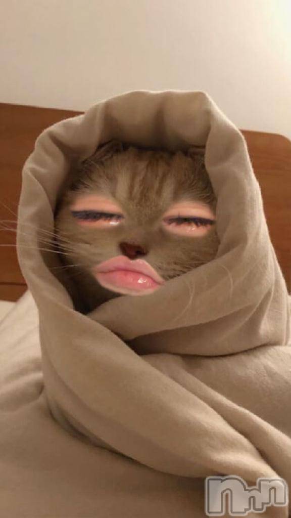 新潟ソープ新潟バニーコレクション(ニイガタバニーコレクション)リゼ(21)の2026年4月28日写メブログ「しゅ」