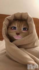 新潟ソープ新潟バニーコレクション(ニイガタバニーコレクション) リゼ(21)の3月18日写メブログ「🐱」