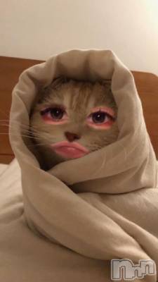 新潟ソープ 新潟バニーコレクション(ニイガタバニーコレクション) リゼ(21)の2月21日写メブログ「しゅっ」