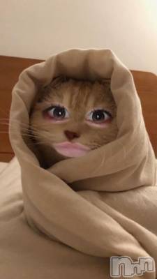 新潟ソープ 新潟バニーコレクション(ニイガタバニーコレクション) リゼ(21)の3月18日写メブログ「🐱」