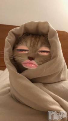 新潟ソープ 新潟バニーコレクション(ニイガタバニーコレクション) リゼ(21)の4月28日写メブログ「しゅ」