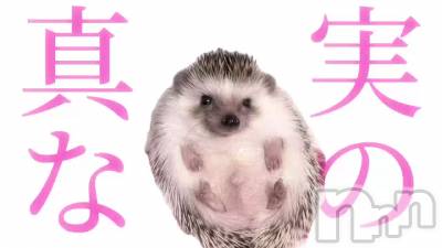 3��22�� 16��50ʬ��ư��