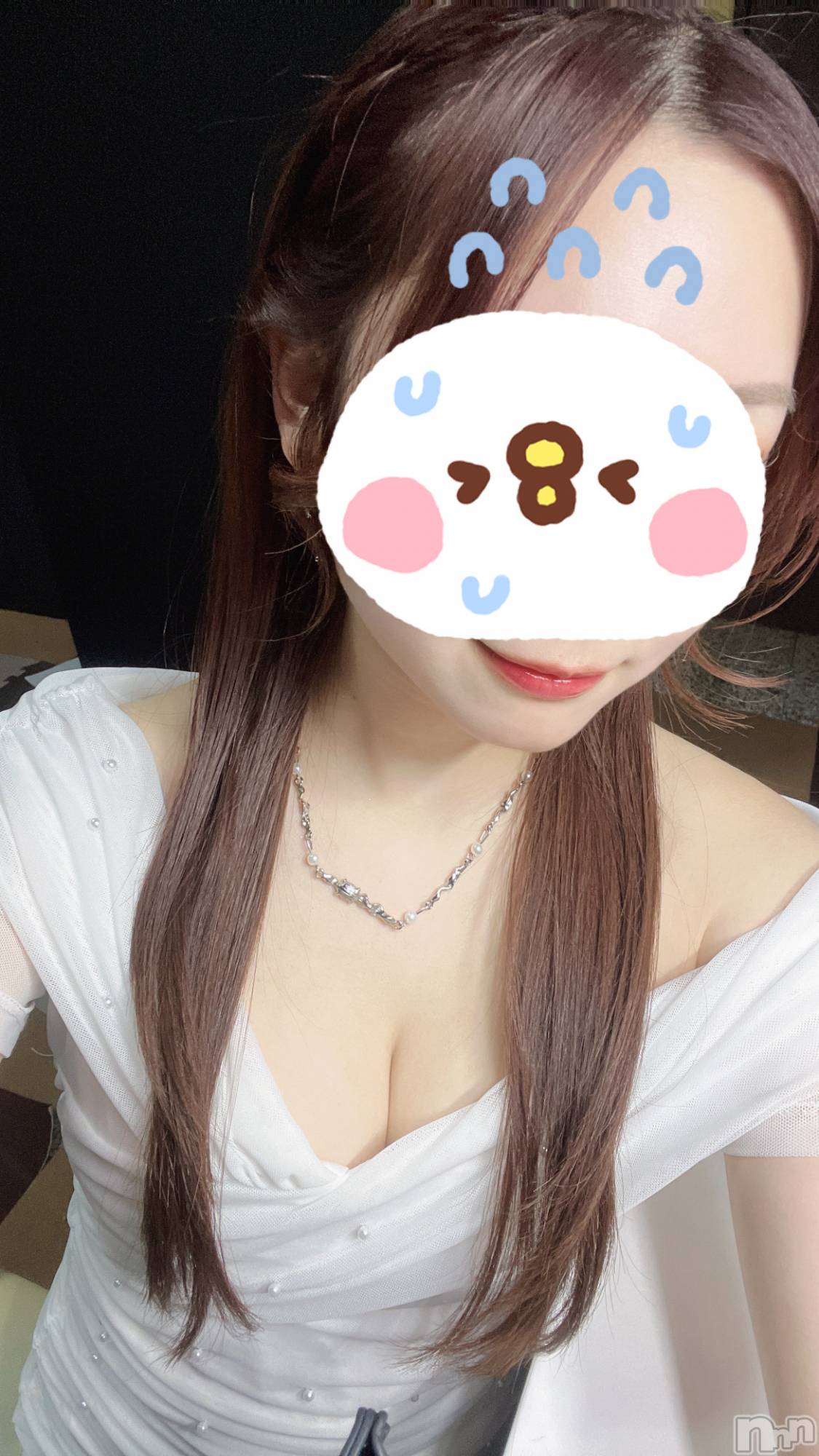 ���ܱ�������Х��顦����֥���� �ץ���� ����(����� �ץ���� �ޥĥ��) ��2025ǯ12��23���̥�֥����֤ꤢ��Ǥ�^_^��